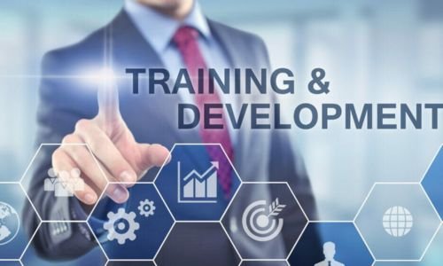 Training and Development Image